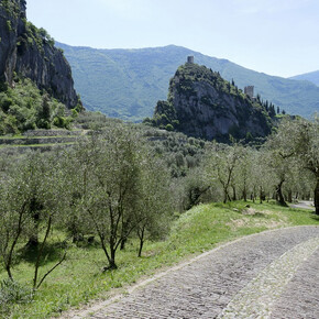 The Castle of Arco and the olive groves | © Garda Trentino 