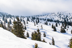 Inverno | © APT Dolomiti di Brenta e Paganella