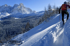 Die schöne Aussicht auf der Pale di San Martino | © APT Val di Fiemme