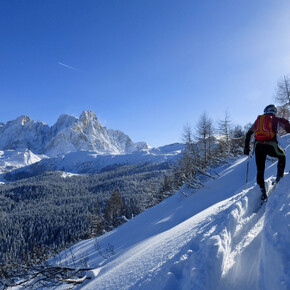 The beautiful view on Pale di San Martino mountains | © APT Val di Fiemme