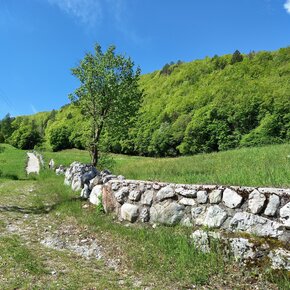 Via Imperiale just above Cavedago | © APT Dolomiti di Brenta e Paganella