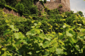 Segonzano Castle | © APT Fiemme Cembra