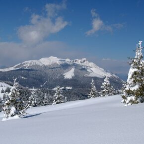 View from Upper Pioverna | © Unknown