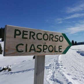 Dedicated route | © Unknown