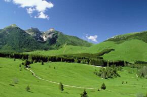 The Tour of the Three Peaks of Monte Bondone - from Cima Verde to Cornetto | © Rete di Riserve Bondone