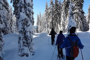 Trail n. 14 S. Antonio di Mavignola - Clemp - snowshoeing itinerary | © APT Madonna di Campiglio, Pinzolo, Val Rendena