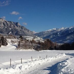Walking in Spianez | © APT Fiemme Cembra