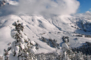 Pampeago e Latemar | © APT Fiemme Cembra