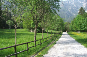 Through Val di Pur | © Consorzio Pro Loco Valle di Ledro