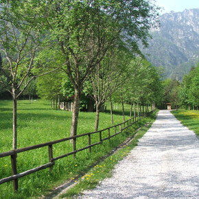 Durch Val di Pur | © North Lake Garda Trentino 