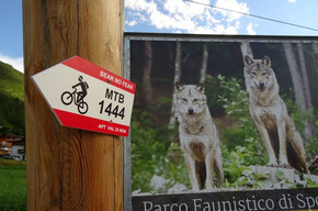 Tour 1444 - Bear no fear! Auf den Spuren des Bären | © APT Val di Non 