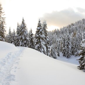 Footprints in the snow | © Garda Trentino