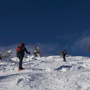Ascent to Cima Pissola | © Consorzio Turistico Valle del Chiese