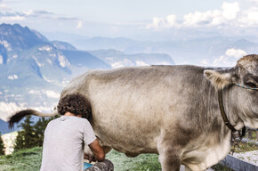 Meriz - Malga Fai | © APT Dolomiti di Brenta e Paganella