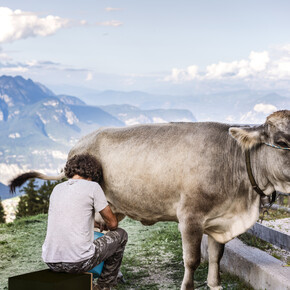 Malga Fai | © APT Dolomiti di Brenta e Paganella