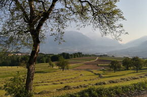 Sentiero del Latte | © APT - Garda Trentino