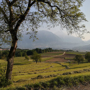 Sentiero del Latte | © Garda Trentino