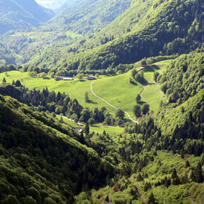 Panorama su Malga Grassi | © Garda Trentino