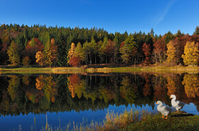 Lago Santo (SAT 414) | © Consorzio Turistico Rotaliana Königsberg