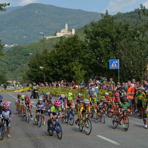 Golden Cup | © Daniele Mosna