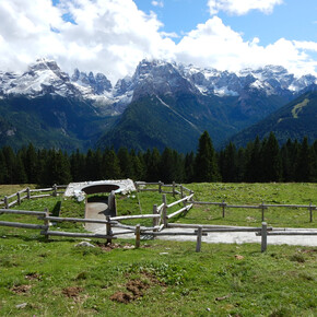 Passeggiata Patascoss - Malga Ritort | © Madonna di Campiglio Azienda per il Turismo 