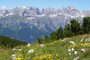 Panorama lungo il percorso | © APT Dolomiti di Brenta e Paganella