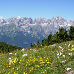 Panorama lungo il percorso | © Dolomiti di Brenta e Paganella