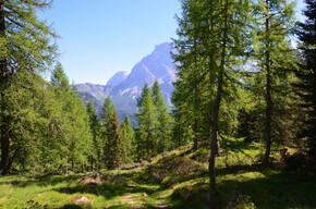 Sentiero Ecologico | © APT San Martino di Castrozza, Primiero e Vanoi