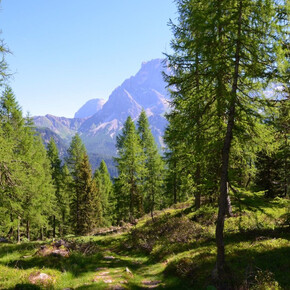 Sentiero Ecologico | © APT San Martino di Castrozza, Primiero e Vanoi