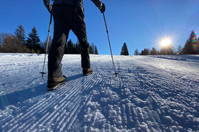 Doss sa Spin, wintertrekking in Predaia Val di Non | © APT Val di Non Soc. Coop.