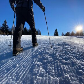 Doss sa Spin, winter trekking in Predaia Val di Non | © APT Val di Non 