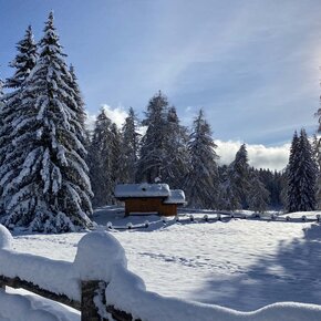 Snow walk at the Regole di Malosco | © APT Val di Non 