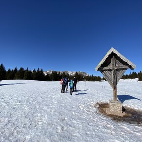 Loop between the Lauregno hut and the panoramic Monte Ori in the Maddalene Group | © APT Val di Non 