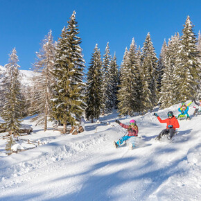 Sledge slope Fraina | © APT Val di Fiemme