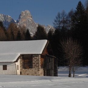 Hut in Bellamonte and Cimon dela Pala | © APT Val di Fiemme