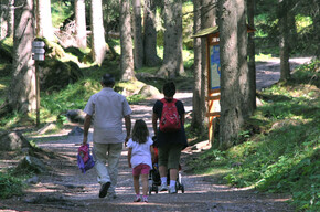 Passeggiata sul Sentiero Marciò | © APT San Martino di Castrozza, Primiero e Vanoi