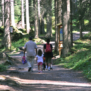 Passeggiata sul Sentiero Marciò | © APT San Martino di Castrozza, Primiero e Vanoi