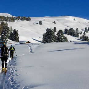 Arriving at Canvere | © APT Val di Fiemme