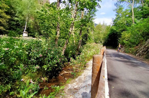 With stroller or on foot from Loc. Ferrari to Montagnaga | © APT Trento 