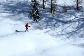 Skitouring | © APT Val di Fiemme