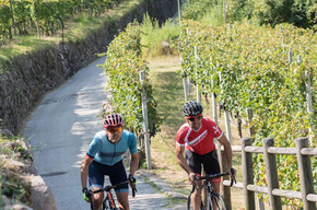 Riding your bike through the vineyards and the food and wine excellences | © APT Trento 