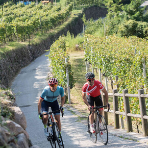 Riding your bike through the vineyards and the food and wine... | © APT Trento 