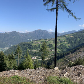 Giro in quota della Valle dei Mocheni partendo da Piné | © APT Trento, monte Bondone e Valle dei Laghi