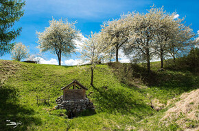 Masi di Plaza | © Madonna di Campiglio Azienda per il Turismo 