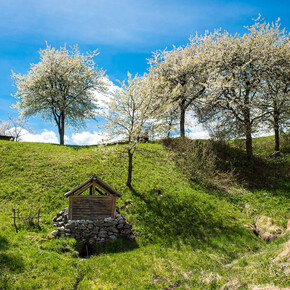 © Madonna di Campiglio Azienda per il Turismo 