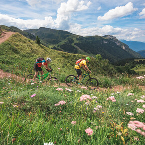 Giro del Latemar | © APT Val di Fiemme