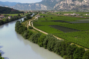 Il fiume Adige tra i vigneti | © APT Dolomiti di Brenta e Paganella