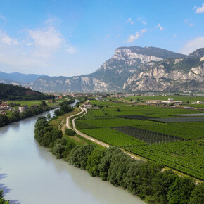 Il fiume Adige tra i vigneti | © APT Dolomiti di Brenta e Paganella