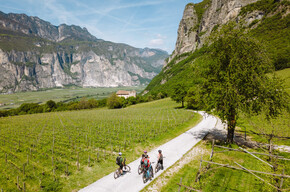 Views from Fedo-Monreale | © Consorzio Turistico Piana Rotaliana Königsberg