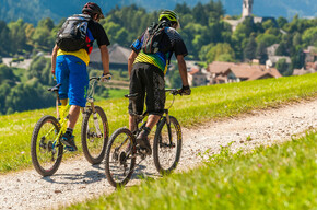 Der Weg oberhalb von Cavalese | © APT Fiemme Cembra